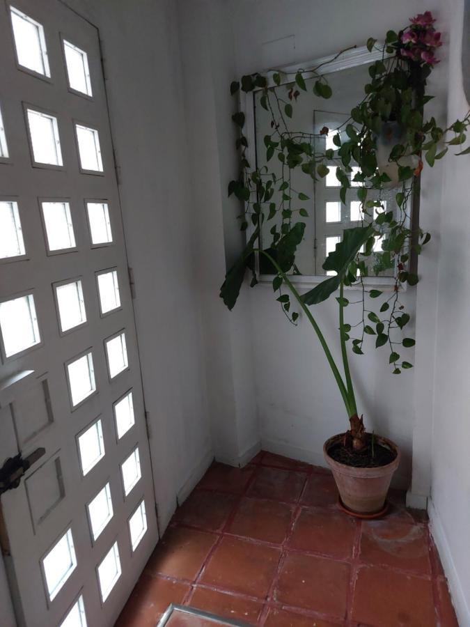 Apartamento Tipo Loth Alameda Sevilla Dış mekan fotoğraf